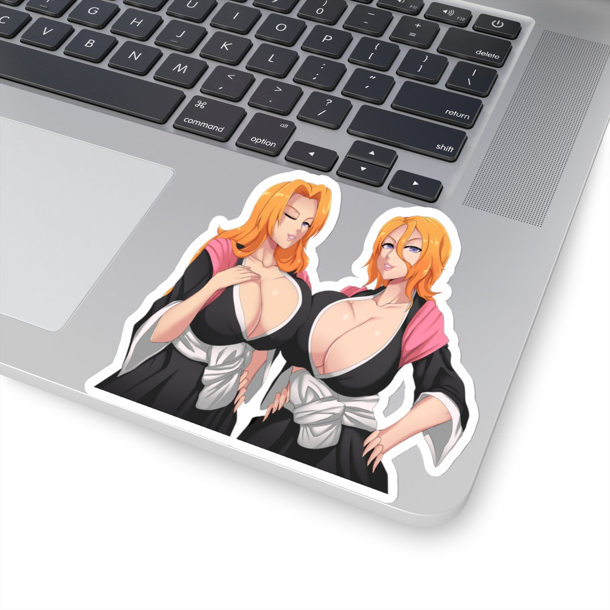 Two Anime Girls Anime Stickers Manga Sticker Cartoon Stickers Funny Laptop Stickers 4 Sizes Vinyl Stickers E475