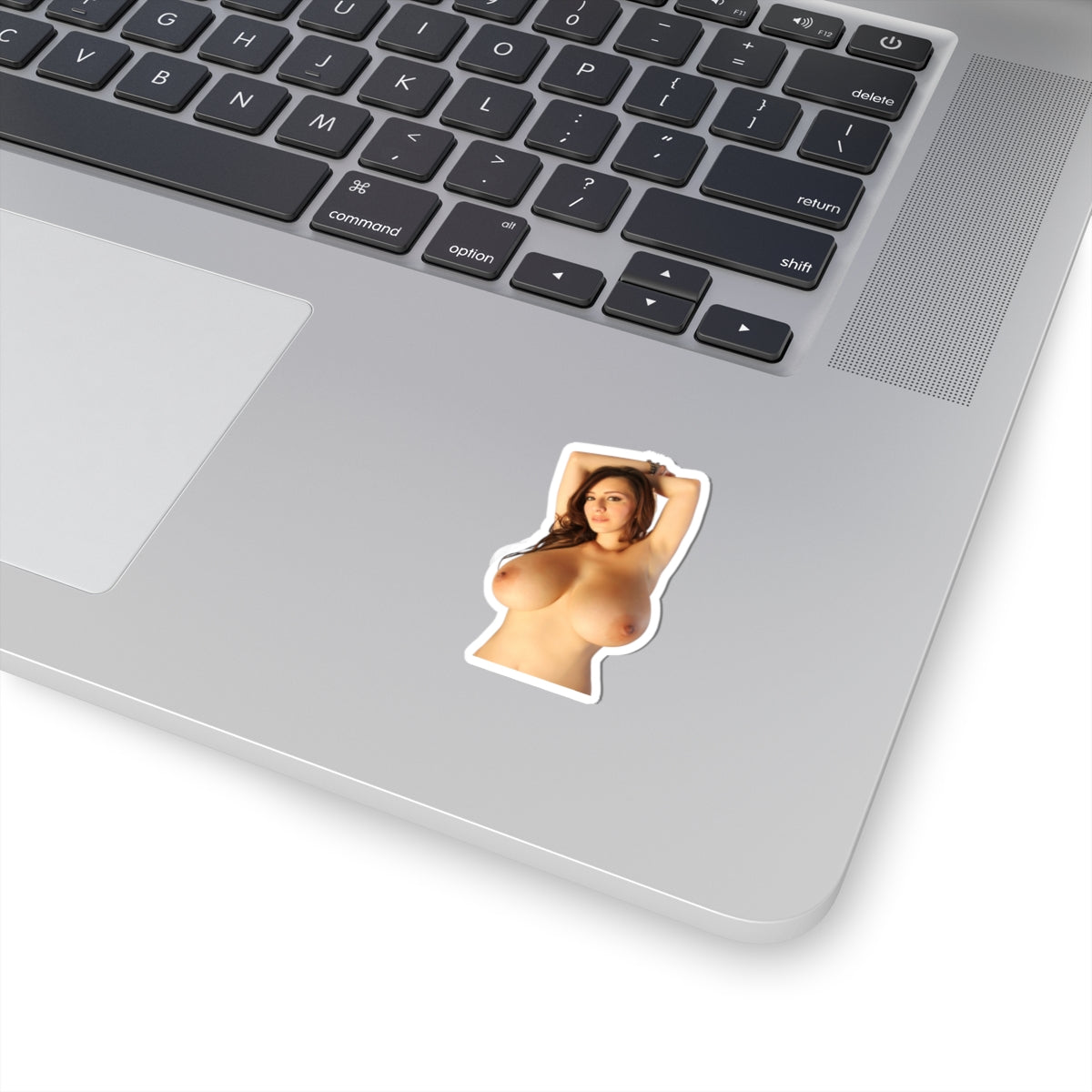 Naked Topless Girl Sticker Big Boobs Model Stickers