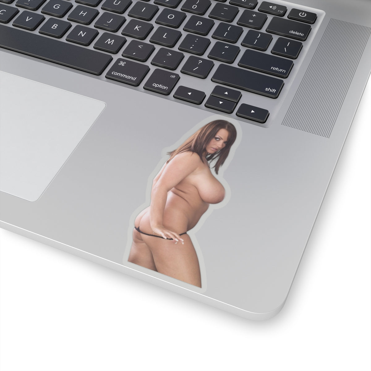 Big Boobs Model Sticker