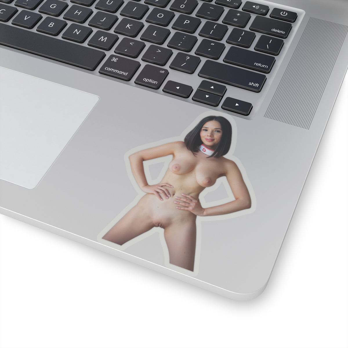 Pinup Stickers Sexy Naked Pretty Girls Sticker