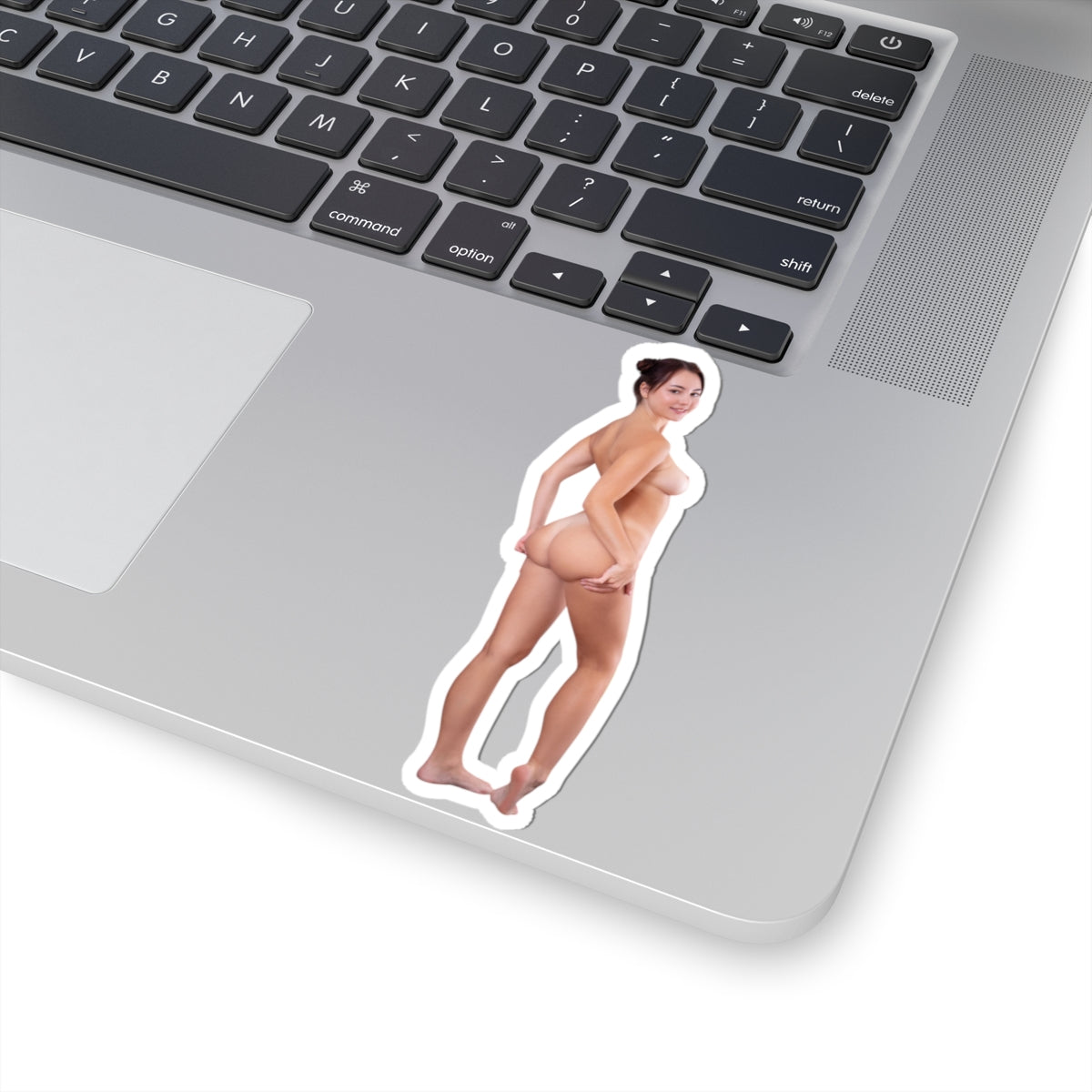 Pinup Stickers Sexy Nude Ass Women Sticker