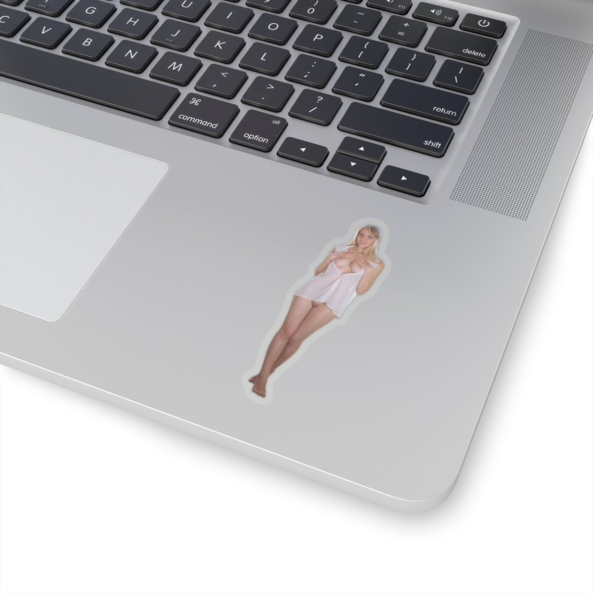 Pinup Stickers Sexy Women Uncensored Stickers