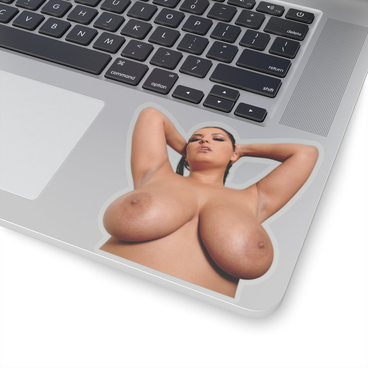 Pretty Girl Sticker Pinup Naked Big Boobs Girl Stickers