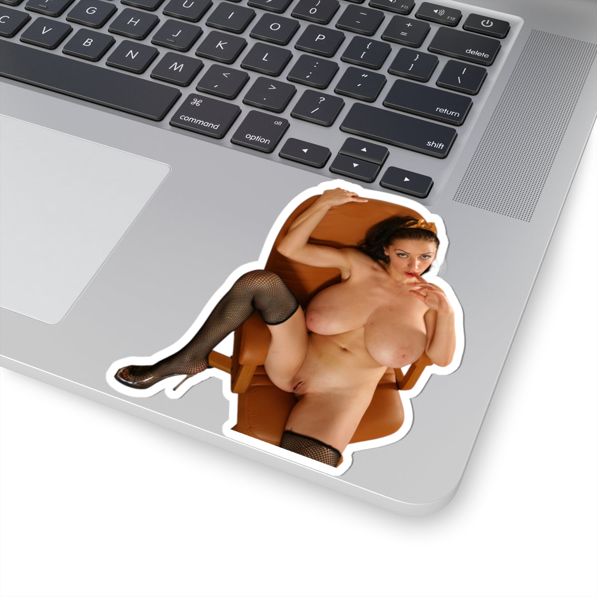 Naked Model Sticker Sexy Girl Big Tits Stickers