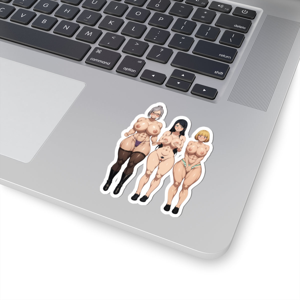 Anime Girls Sticker Sexy Hentai Manga Stickers