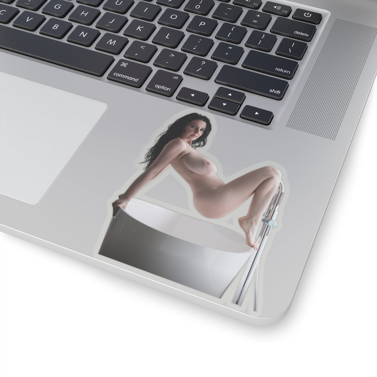 Big Tits Laurine Model Stickers Sexy Girl Sticker