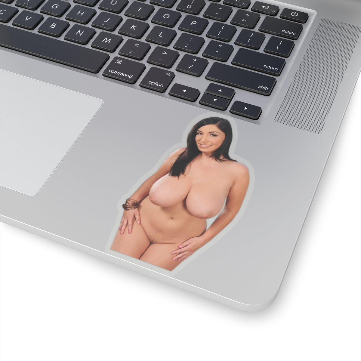 Boobs Woman Vinyl Decal Pinup Girl Adult Sticker Design