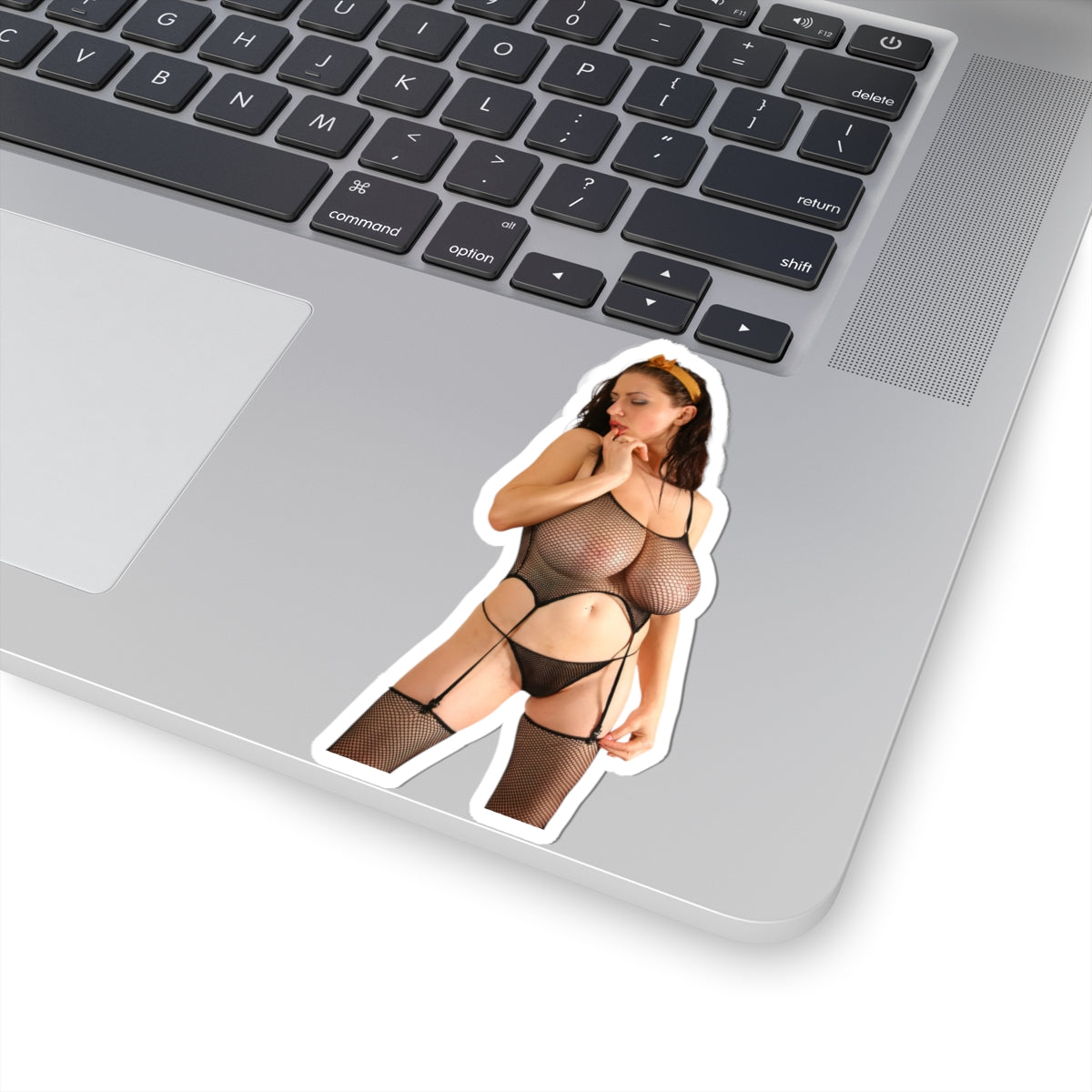 Adult Pinup Girl Sticker Big Tits Sexy Women Boobs Decal