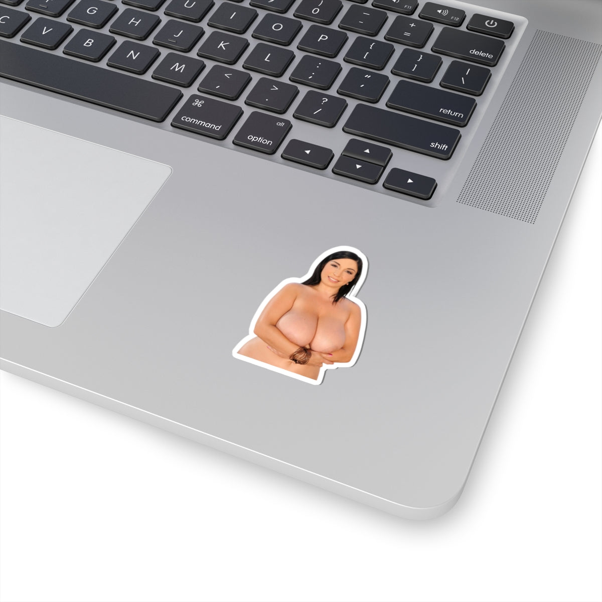 Curvy Woman Pinup Sticker Vinyl Decal Glamour Adult Artwork