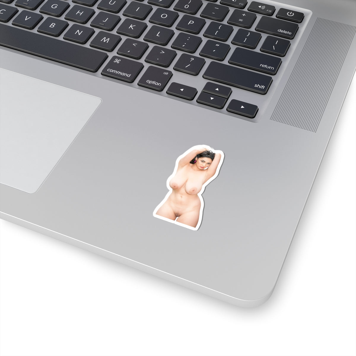 Sexy Girl Sticker Big Tits Nude Women Stickers