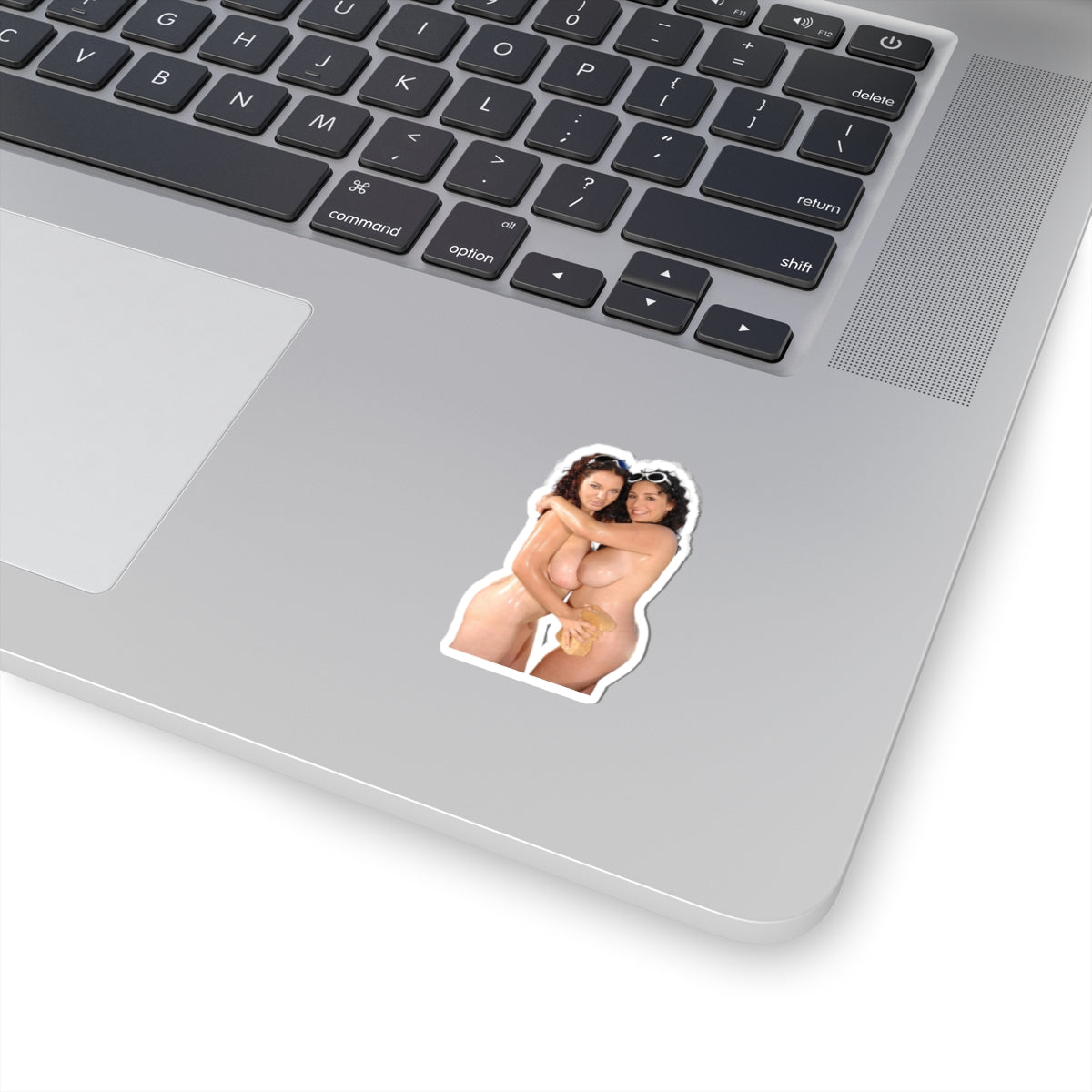 Sexy Girls Sticker Naked Models Stickers