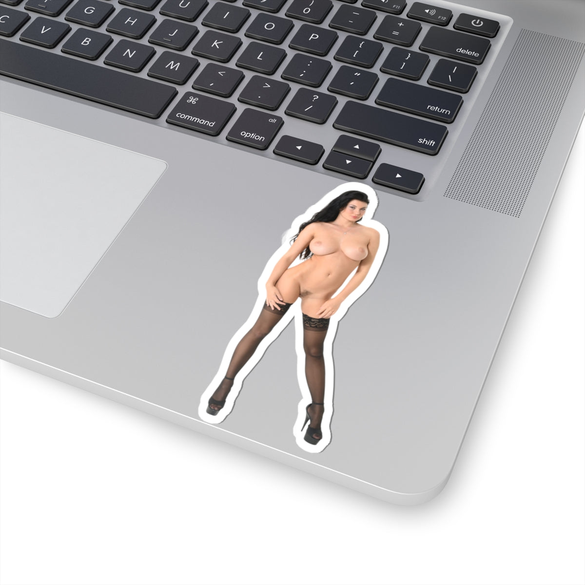 sexy brunette sticker naked pinup model stickers