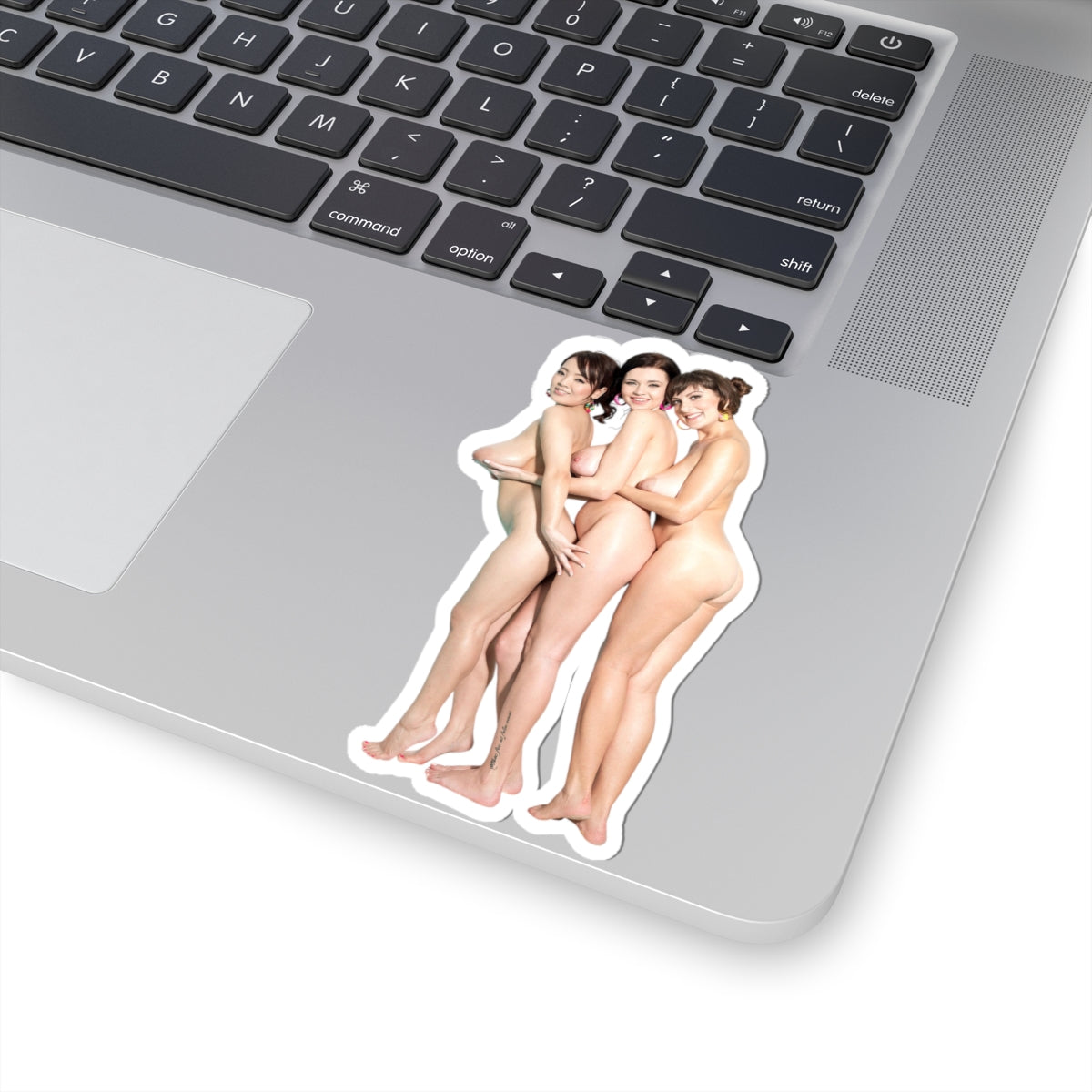 Sexy Girls Sticker Naked Big Boobs Models Stickers