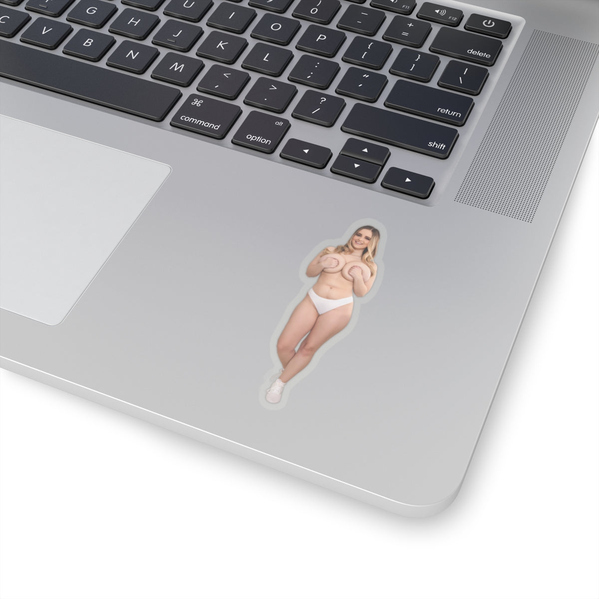 Stunning Women Sticker Beautiful Blond Pinup Stickers Sexy Girl Hot Model Vinyl Transparent or White Stickers E482