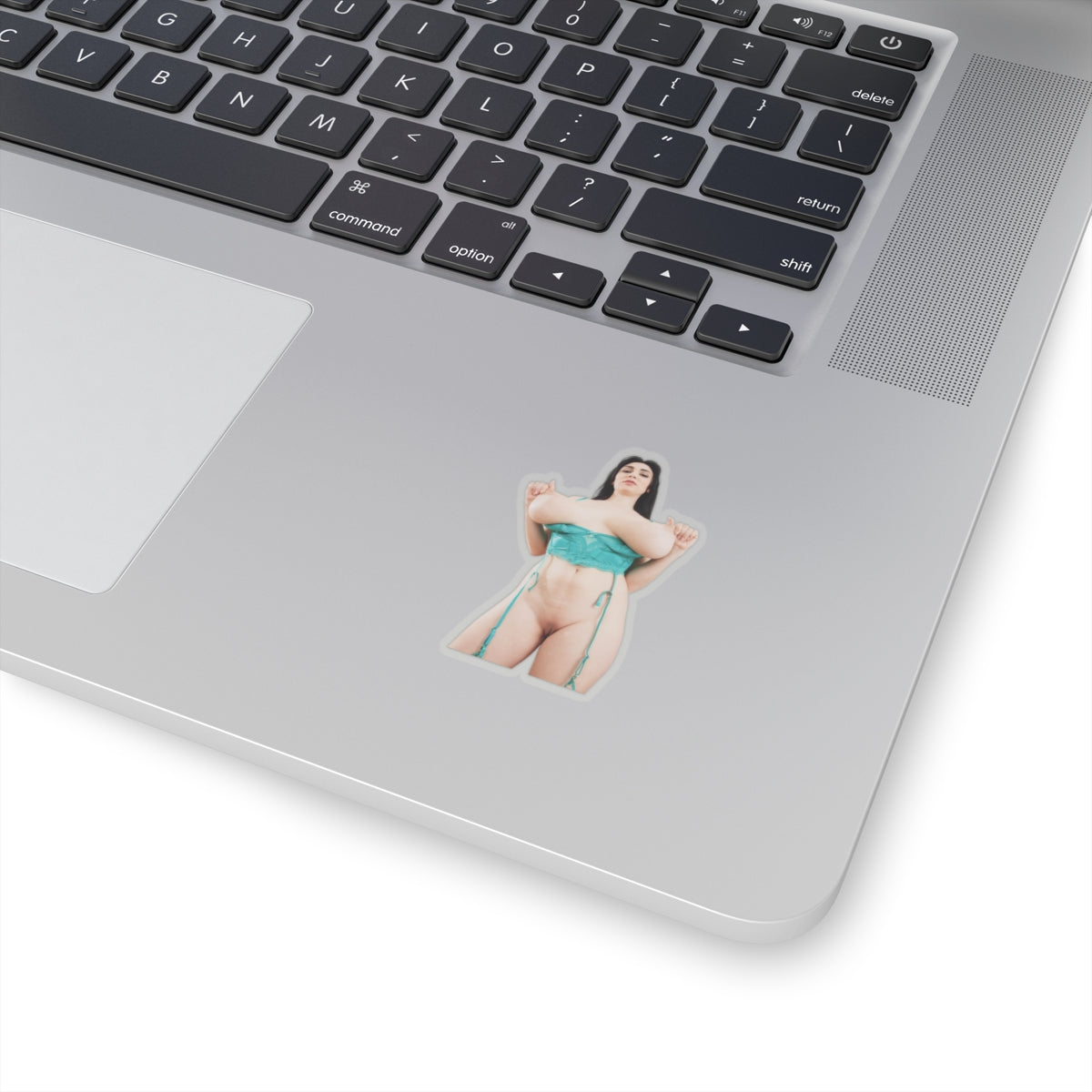 Sexy Girl Sticker Big Tits Women Pinup Naked Uncensored Stickers