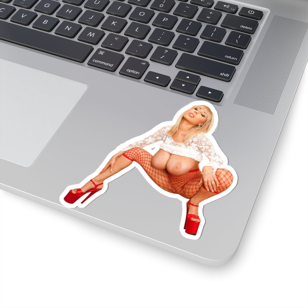 big boobs girl Stickers