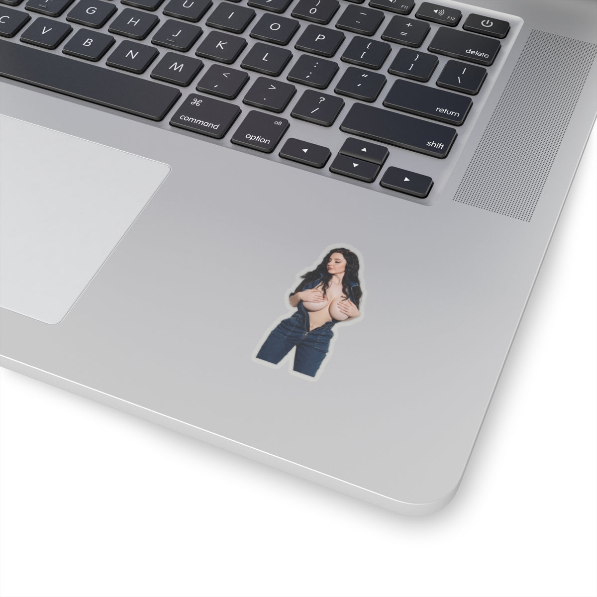 Big Tits Laurine Model Stickers Sexy Girl