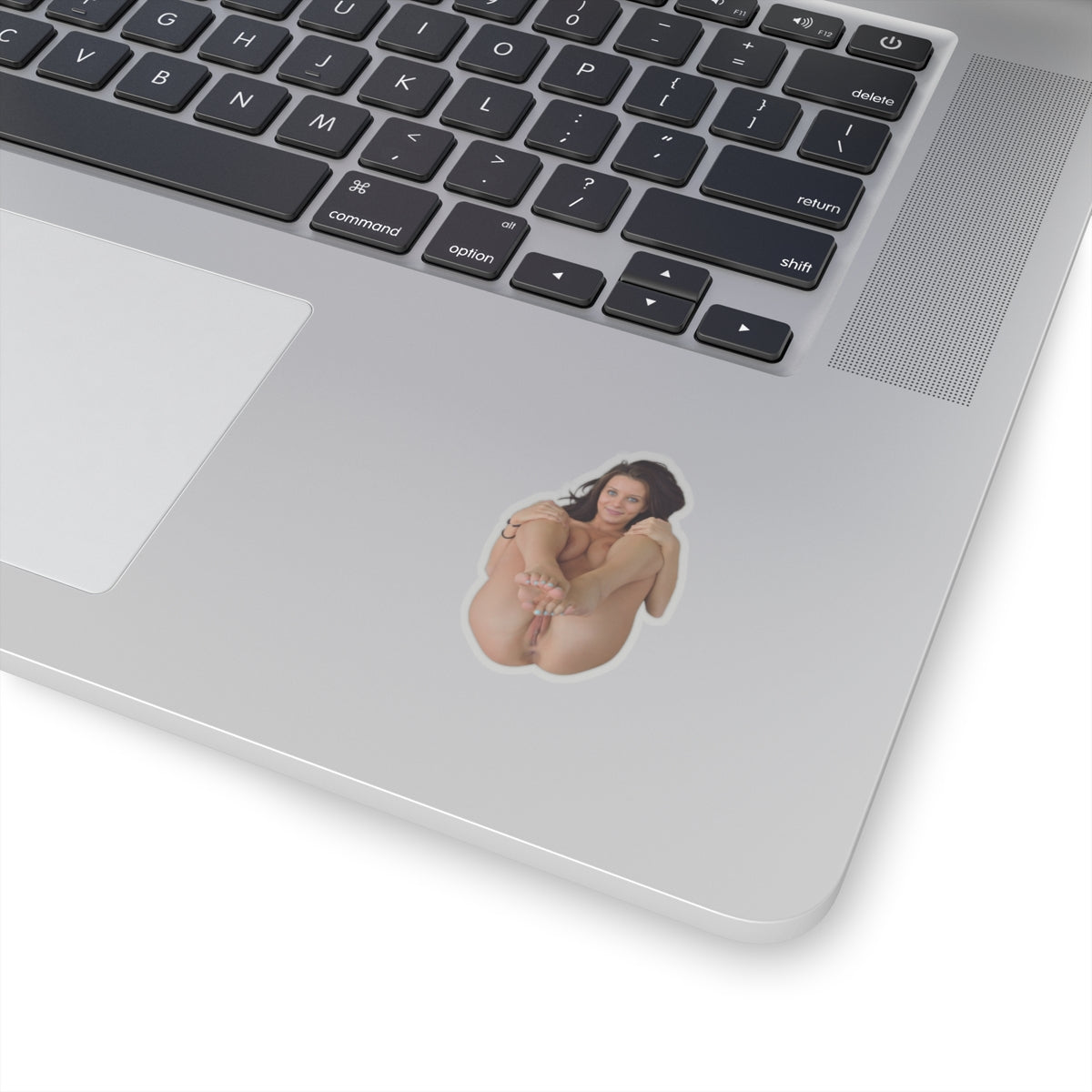 PRETTY GIRL STICKER HOT PINUP MODEL STICKERS