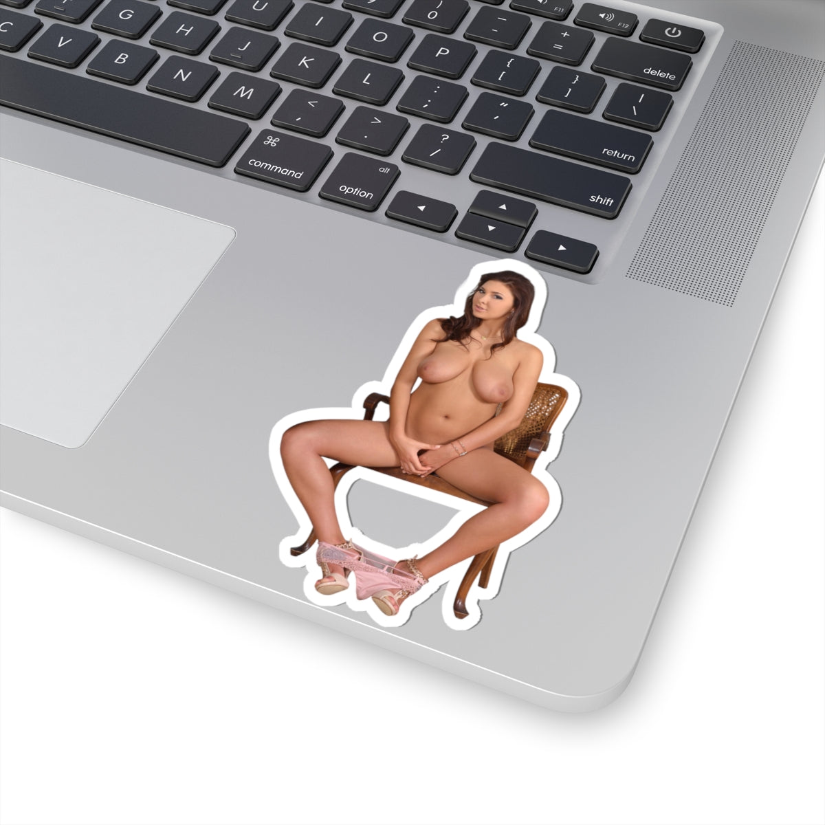 Sexy Naked Women Sticker