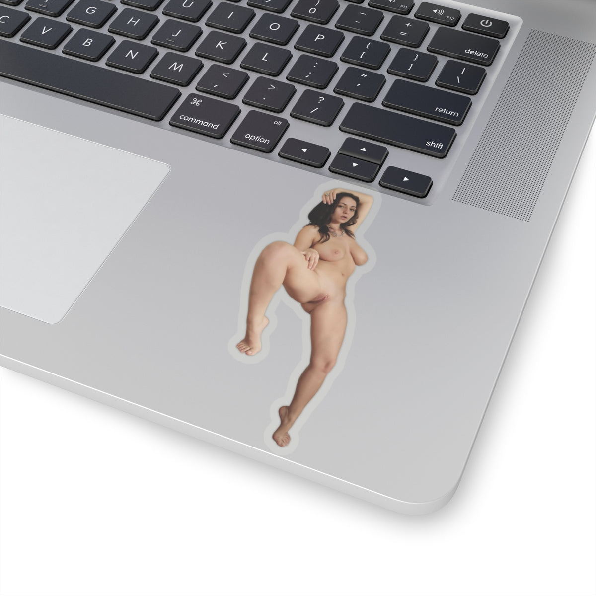 Pinup Sticker Hot Sexy Women Stickers