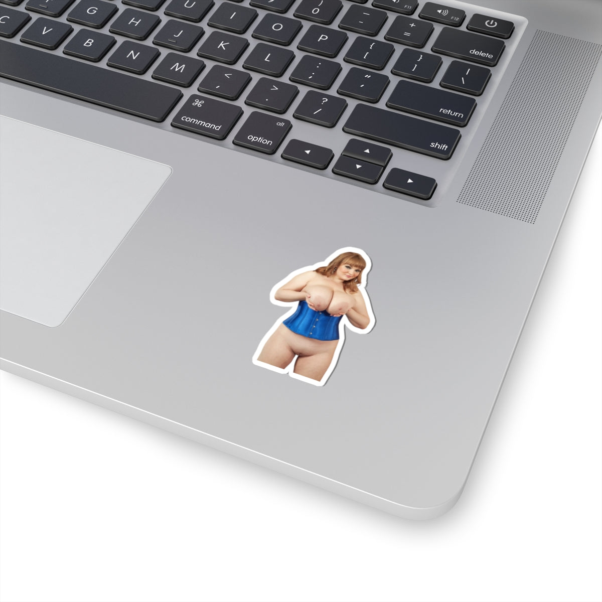 Big Boobs Thicc Curvy Naked Girl Adult Stickers