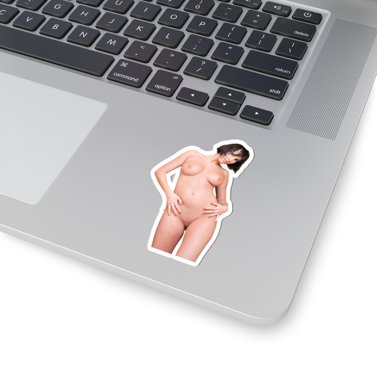 Sexy Girl Sticker Pinup Model Stickers