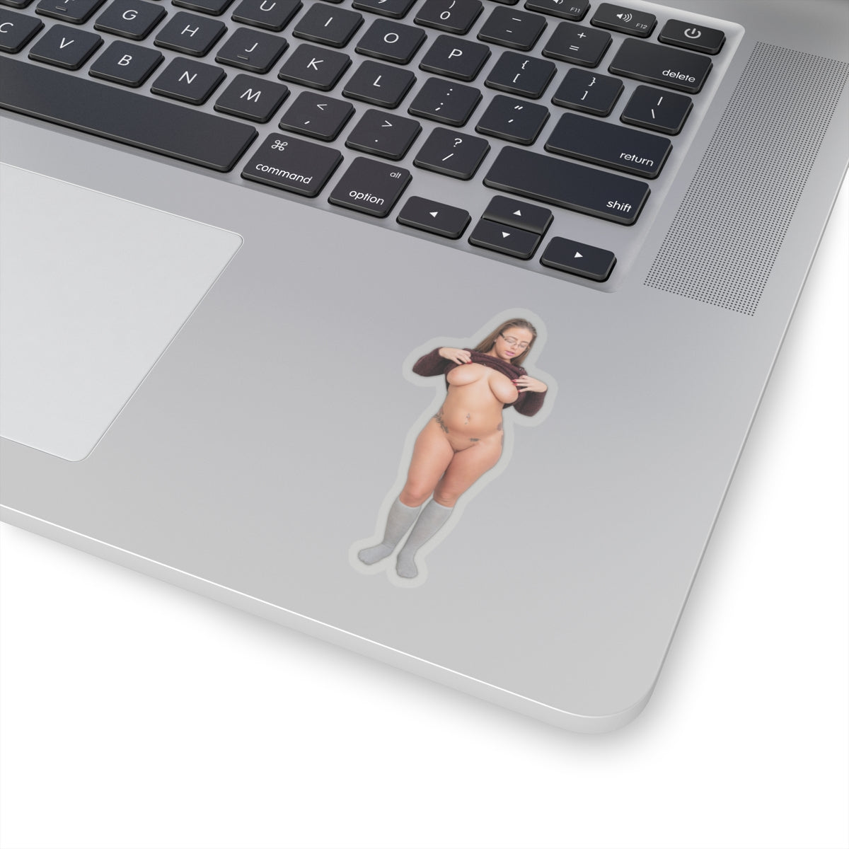 Sexy Model Sticker Naked Pinup Stickers