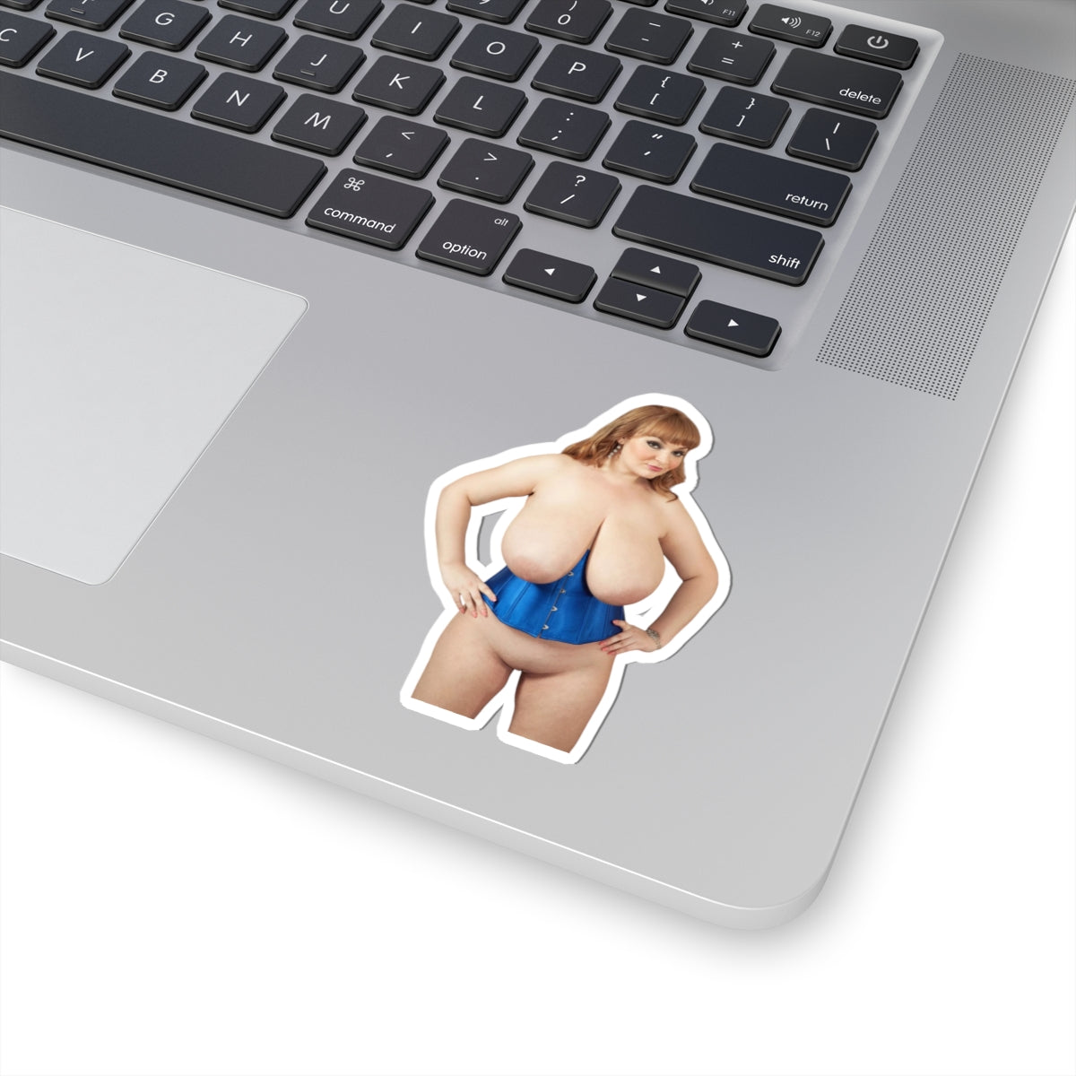 Big Boobs Thicc Curvy Naked Girl Stickers