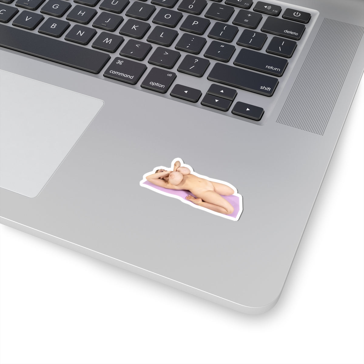 Big Boobs Girl Sticker Naked Pinup Model Stickers