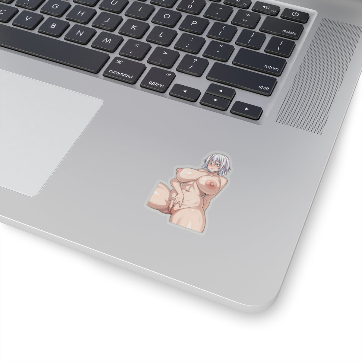 Hentai Anime Sticker Adult Stickers animecartoonstickers