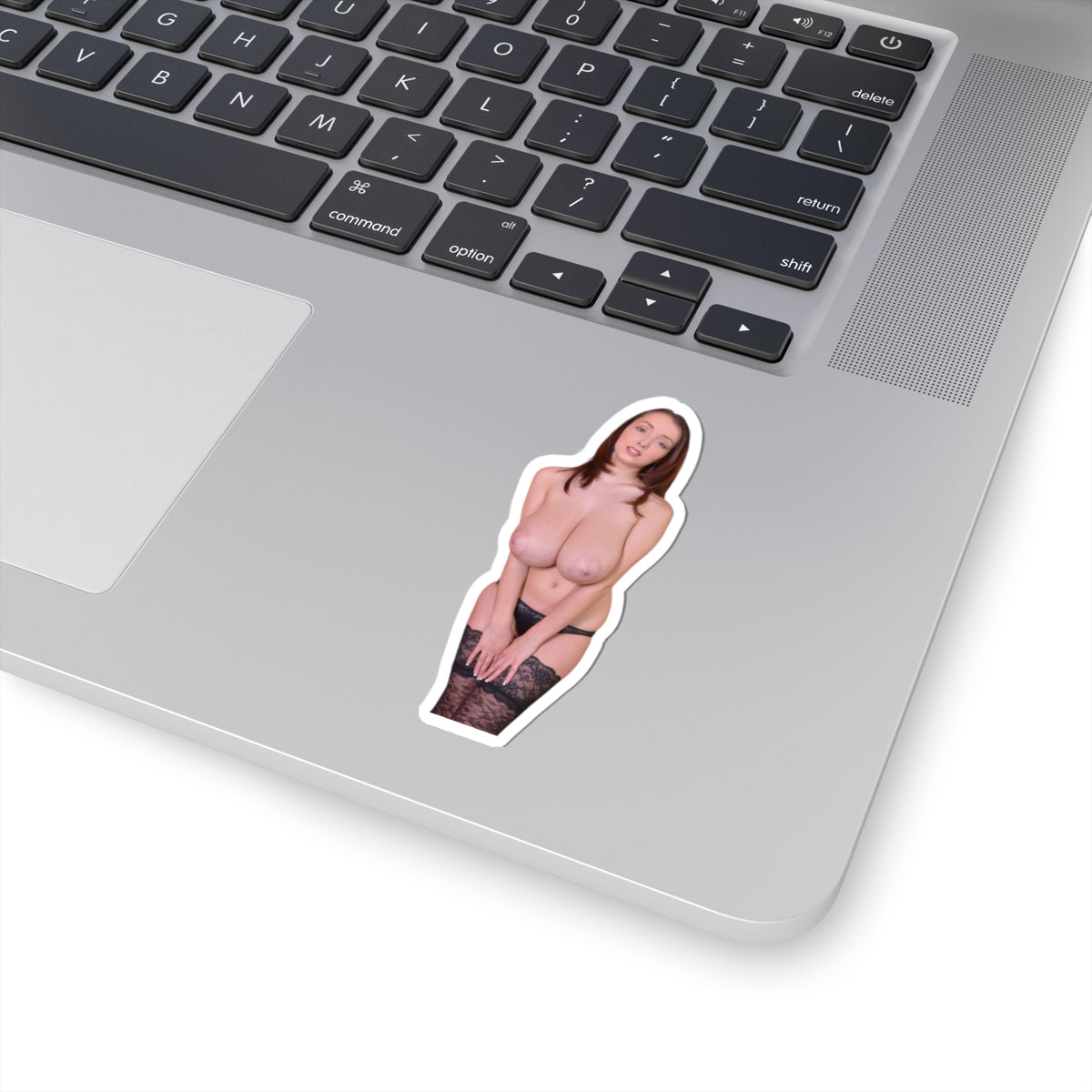 Busty Buffy Big Tits Model Sticker Pinup Uncensored Stickers
