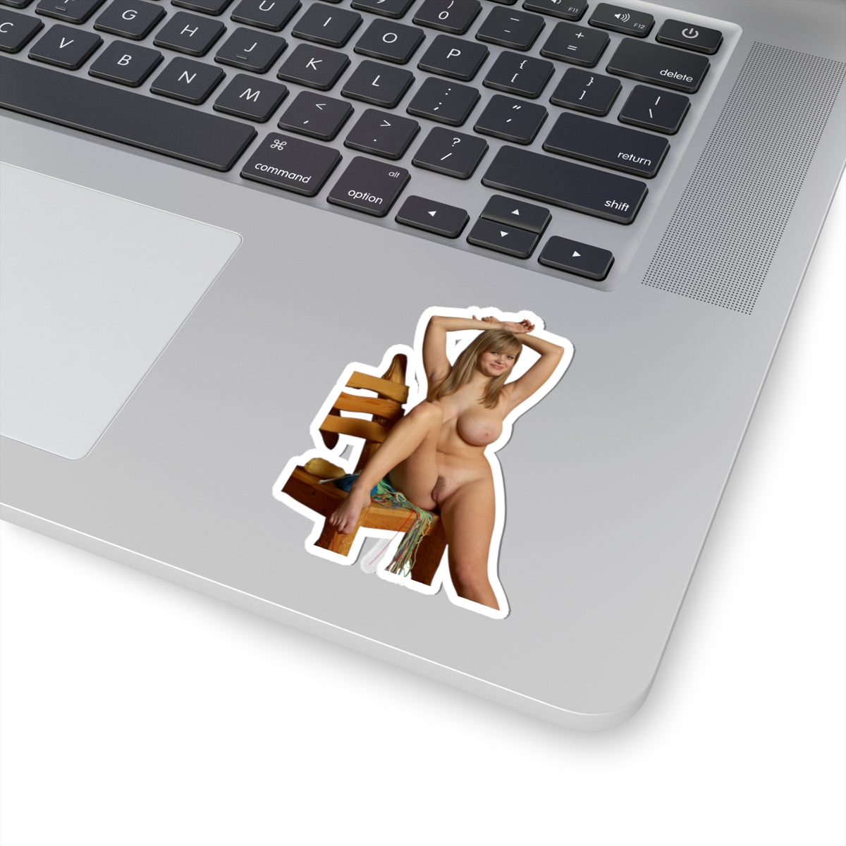 Sexy Big Boobs Naked Girl Sticker Adult Stickers For Men
