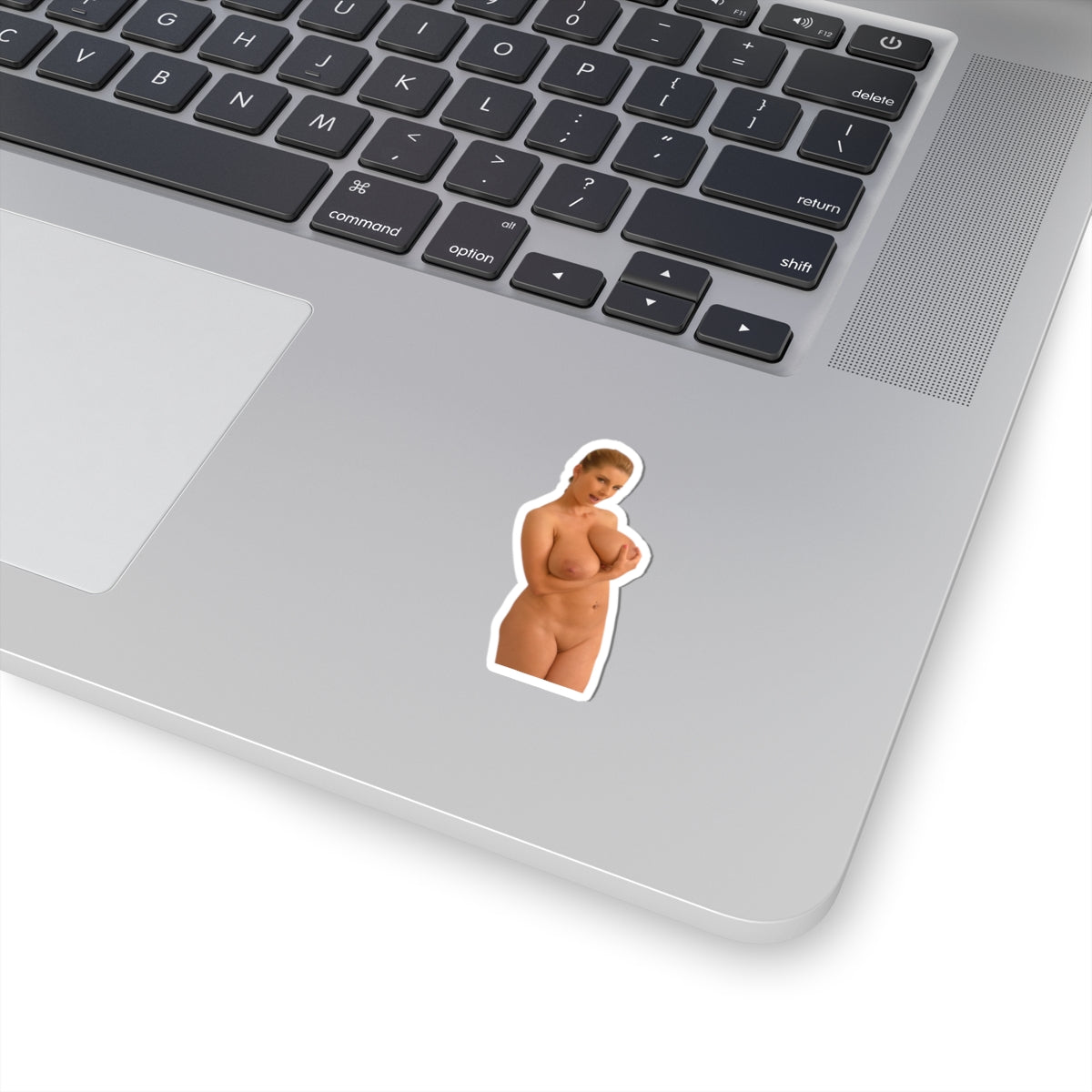 Sexy Girl Naked Sticker Nude Women Big Tits Boobs Stickers