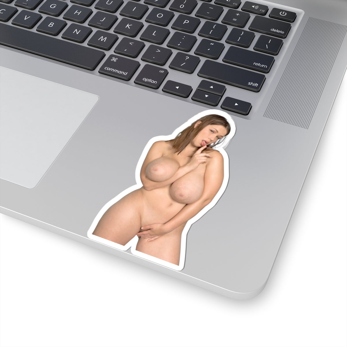 Big Boobs Girl Sticker Pinup Stickers Nude Women Sexy Girls