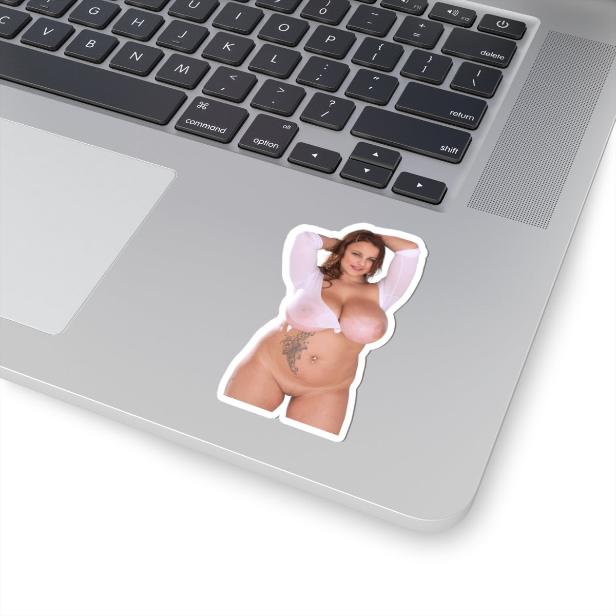 Terri Jane Sticker Big Tits Model Stickers