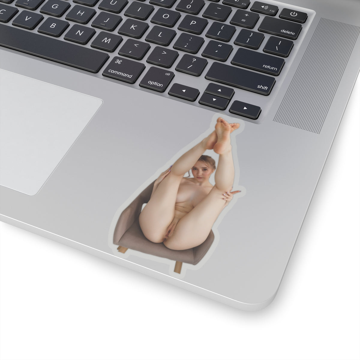 Pinup Stickers Sexy Nude Women Sticker