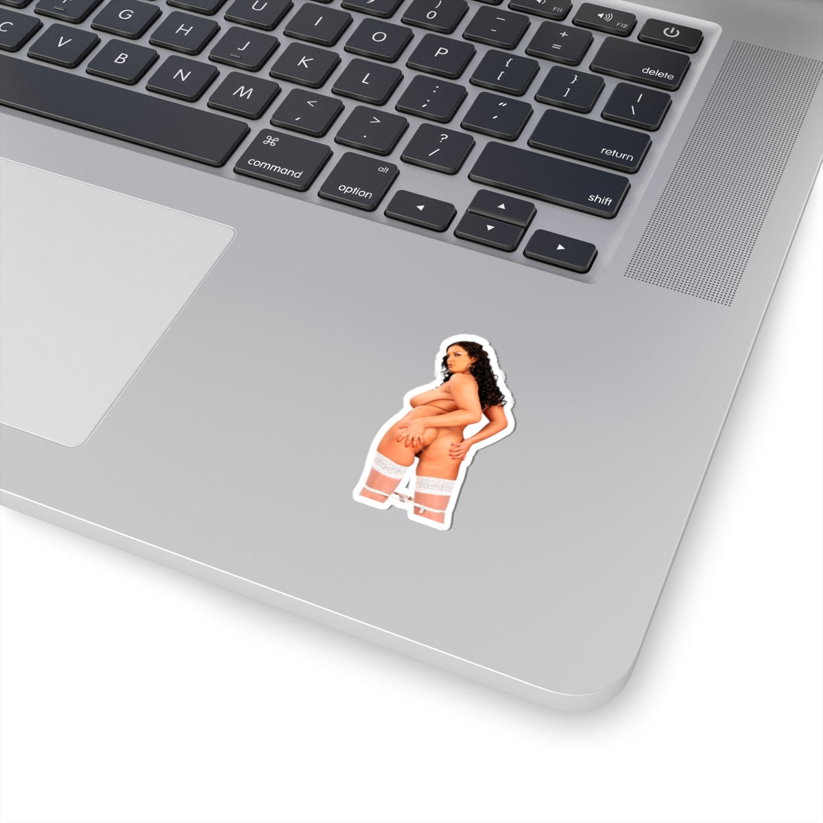 Big Tits Naked Model Sticker Pinup Uncensored Stickers