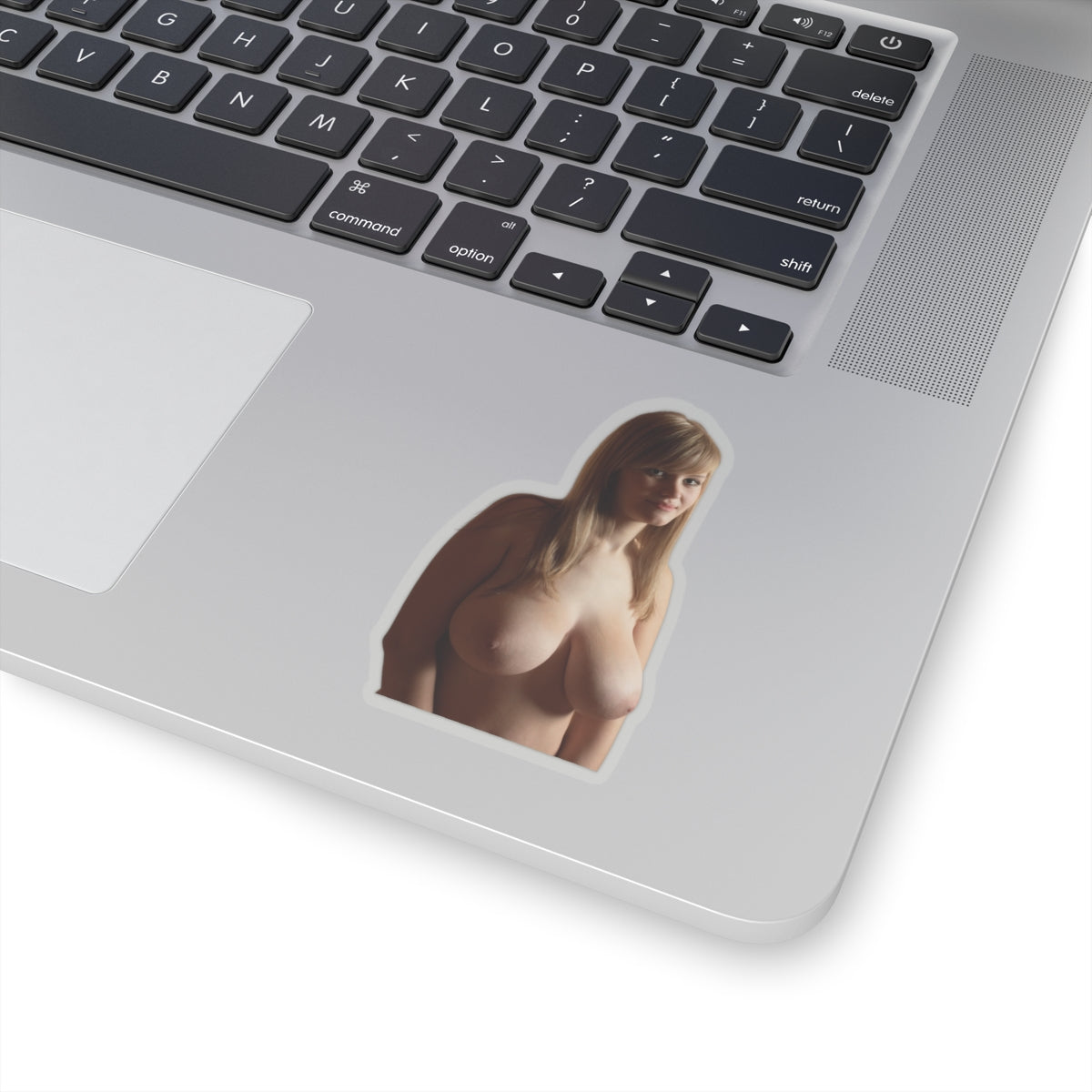 Sexy Big Boobs Girl Sticker Adult Stickers For Men