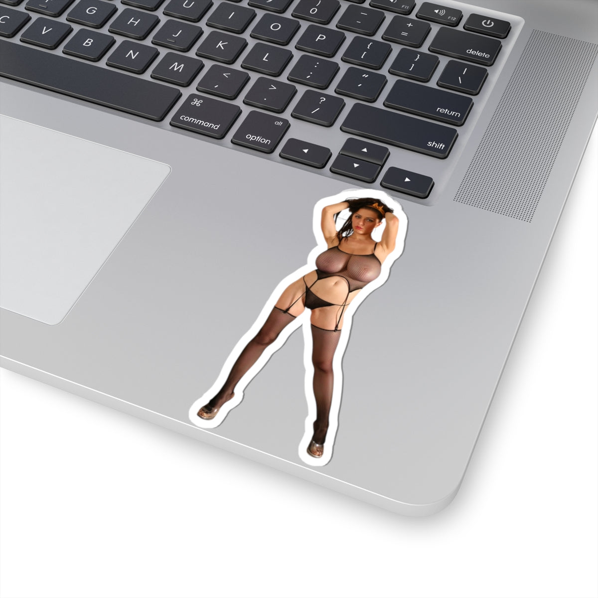 Big Tits Girl Pinup Sticker Sexy Women Boobs Adult Mature Decal