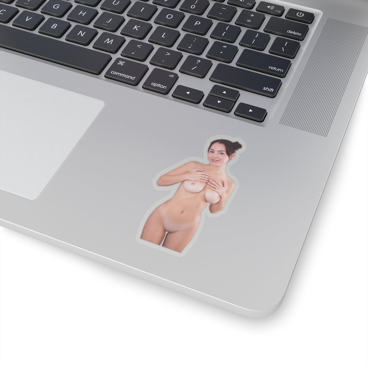 Pinup Stickers Sexy Nude Boobs Women Sticker