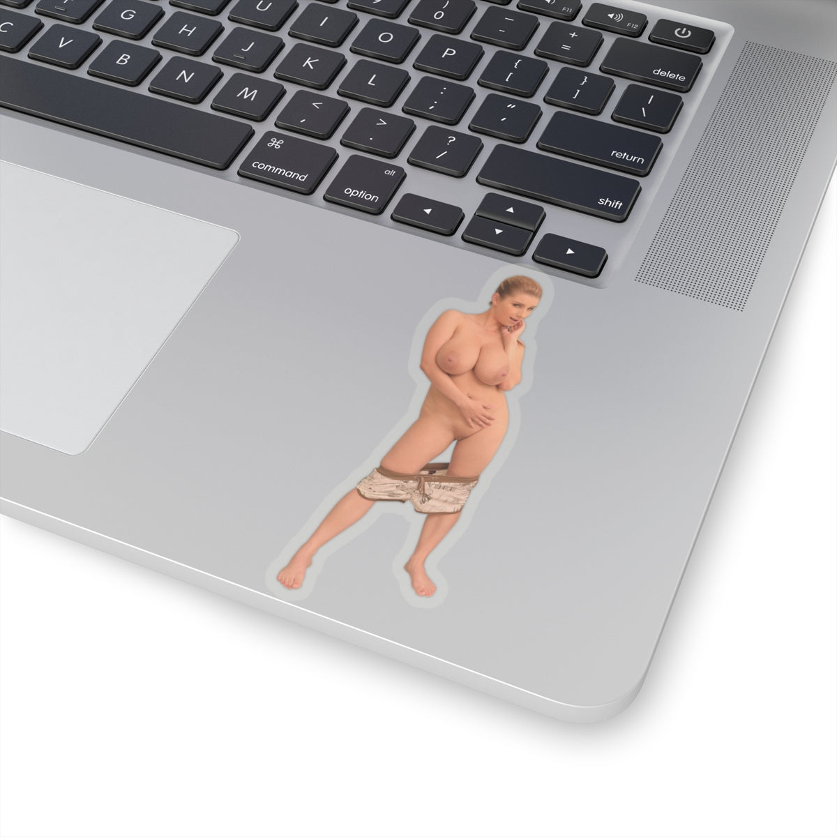 Sexy Big Tits Sticker Boobs Girl Stickers