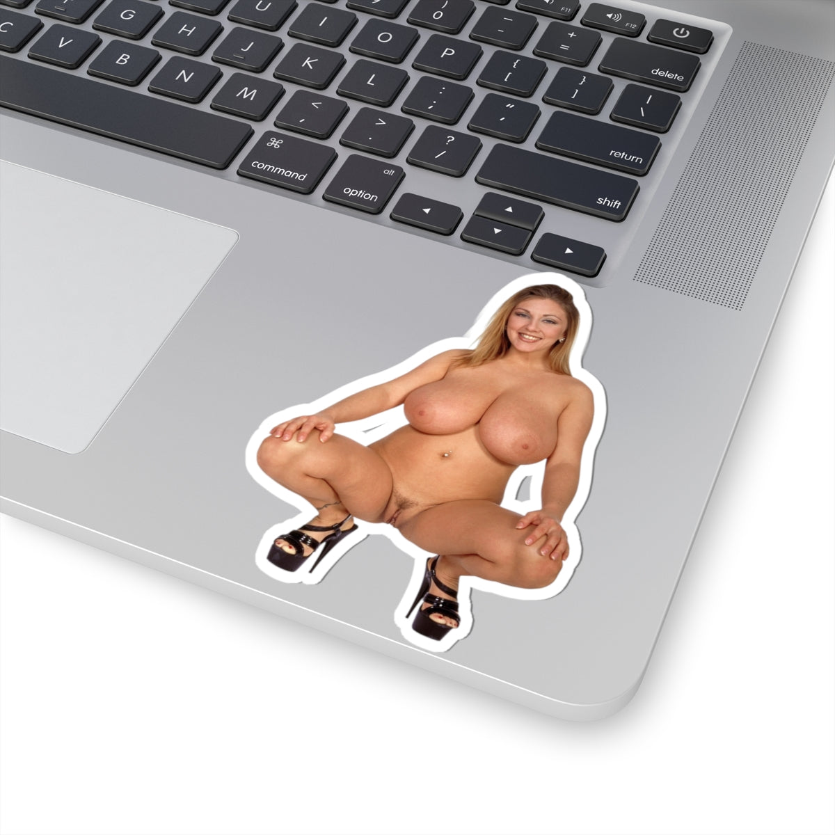 Erotic Sticker Big Boobs Pinup Girl Sticker