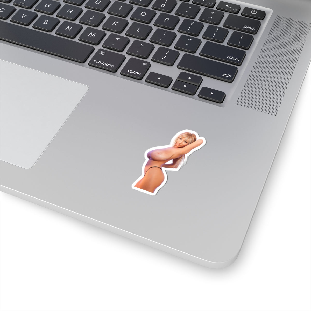 Sexy Girl Sticker Big Tits Women Pinup Model Uncensored Adult Laptop Water Bottle Vinyl Stickers E500