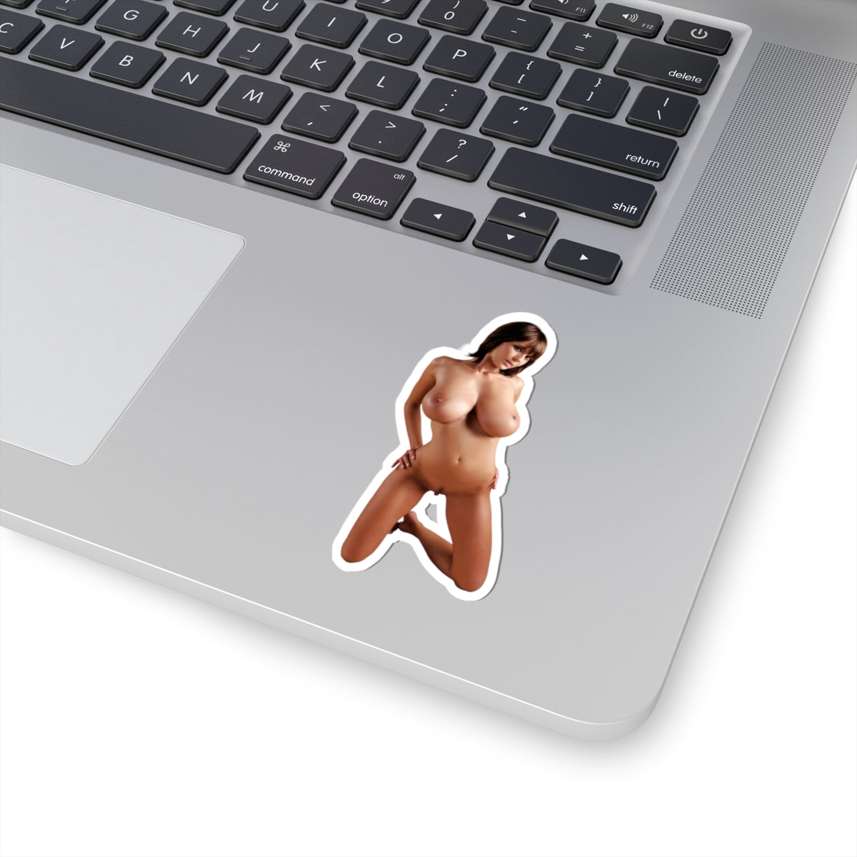 Gabrielle Sexy Girl Sticker Big Tits Adult Stickers