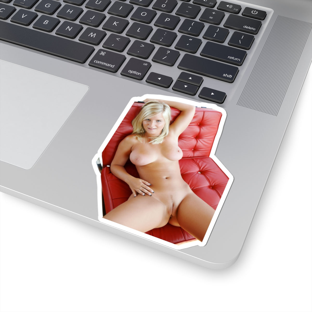 Nudity Stickers Big Tits Sexy Women Sticker