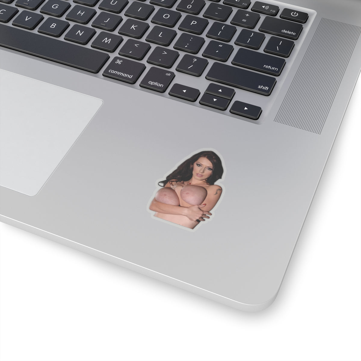 Big Tits Sexy Girl Stickers