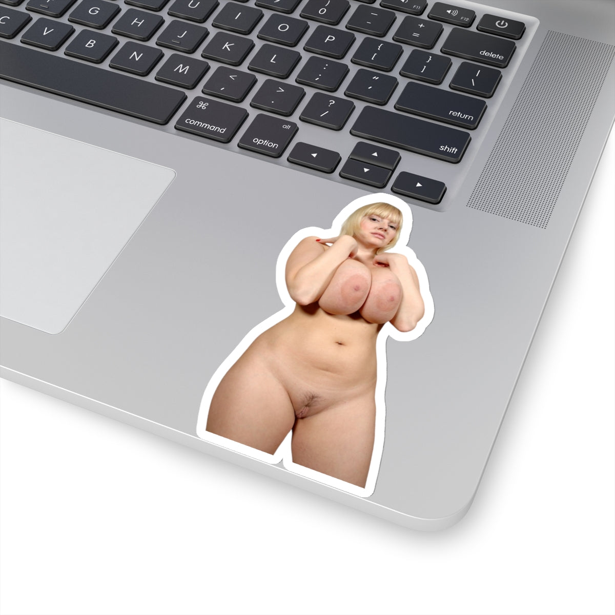 Pretty Model Sticker,Pinup Stickers,Adult Stickers For Men,Naked Girl,Nude Women,Uncensored Adult Stickers,E668