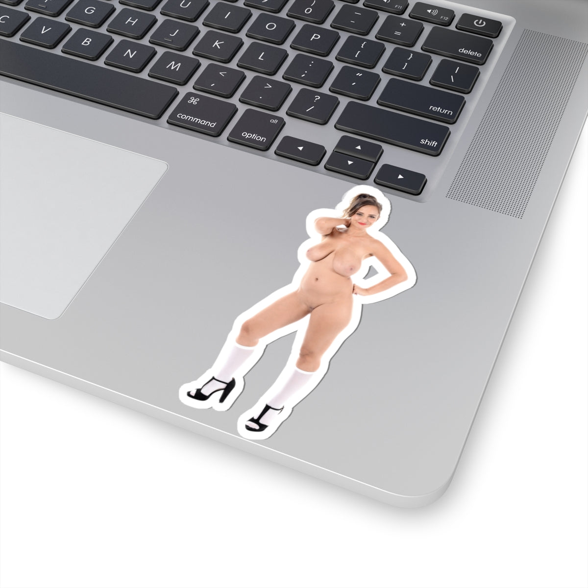 Naked Girl Stickers Pinup Stickers