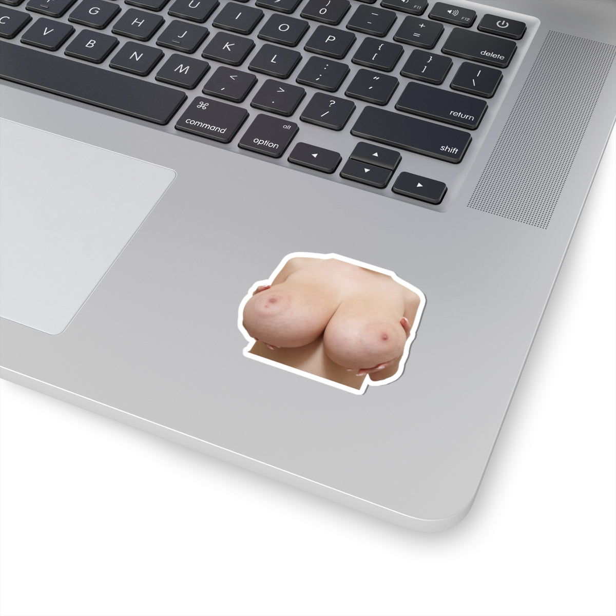 Boobs Sticker