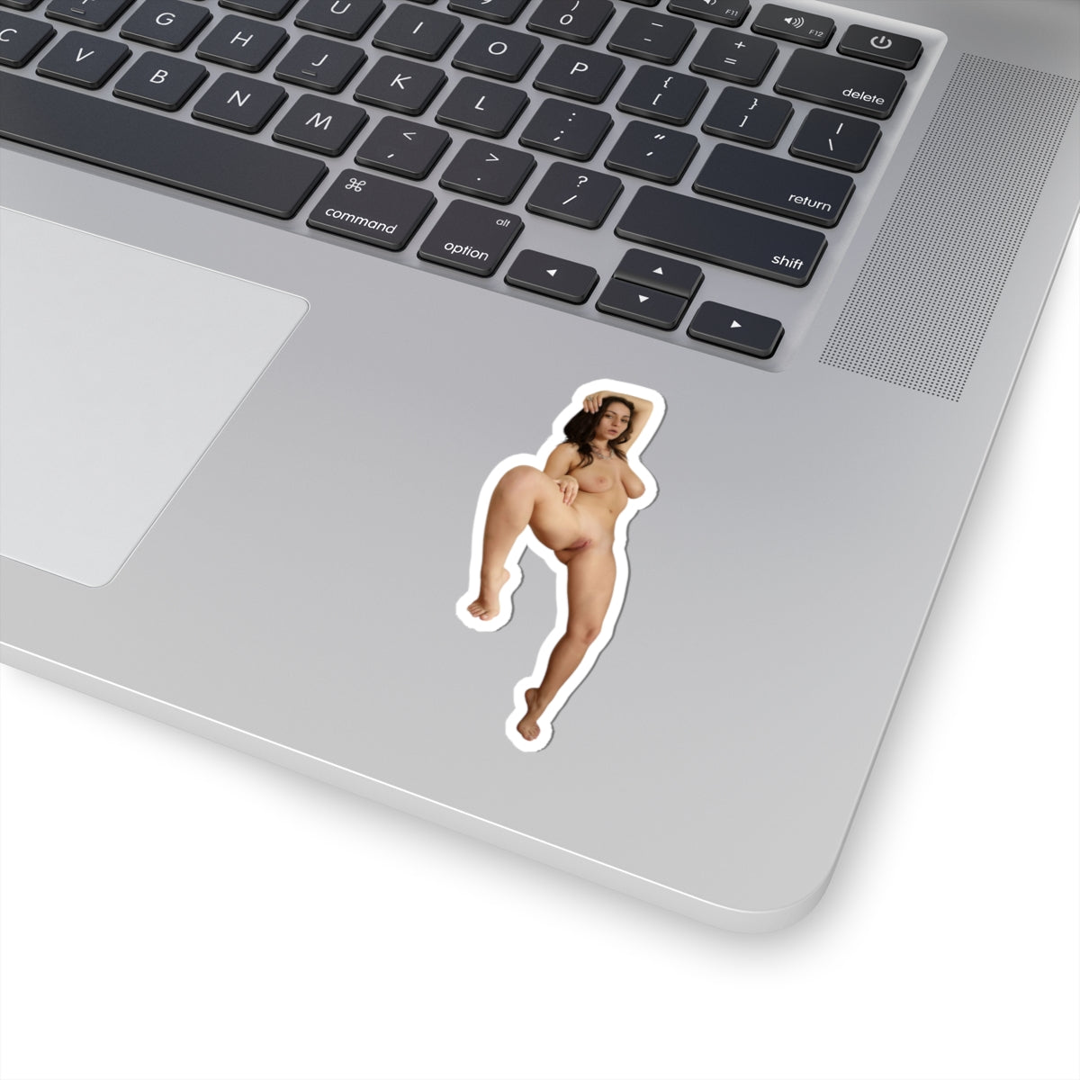 Pinup Sticker Hot Sexy Women Stickers